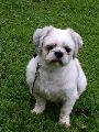 2003_08_02_001.jpg