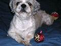 2003_08_03_002.jpg