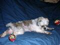 2003_08_03_005.jpg