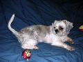 2003_08_03_007.jpg