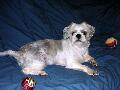 2003_08_03_008.jpg
