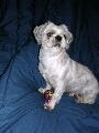 2003_08_03_009.jpg