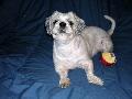 2003_08_03_010.jpg