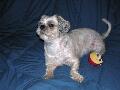 2003_08_03_011.jpg
