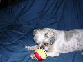 2003_08_03_013.jpg