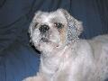 2003_08_03_014.jpg