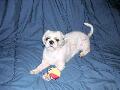 2003_08_03_015.jpg