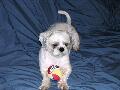 2003_08_03_017.jpg